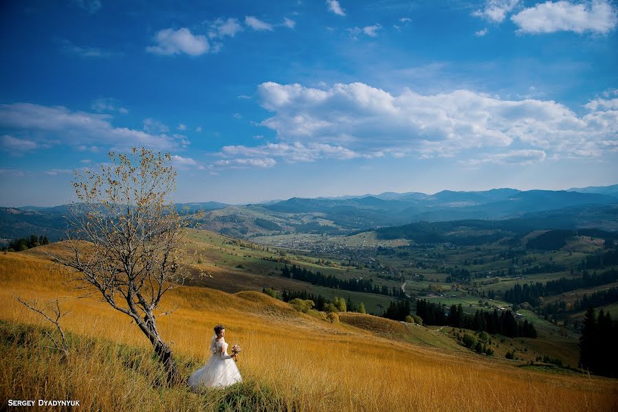 Wedding photographer Sergey Dyadinyuk (doger). Photo of 26 June 2017