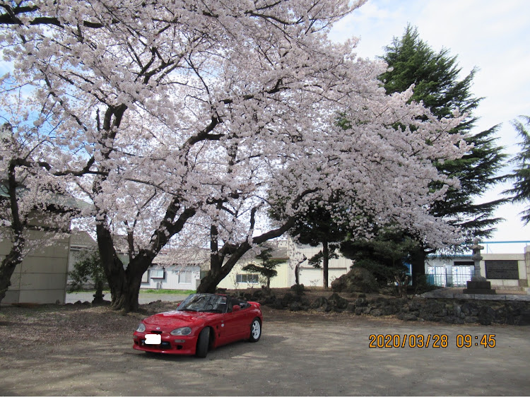 カプチーノの桜🌸とコラボに関するカスタム事例の投稿画像5枚目