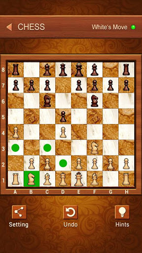 Screenshot Chess