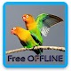 Download Masteran Lovebird Durasi 1 Jam For PC Windows and Mac 1.0