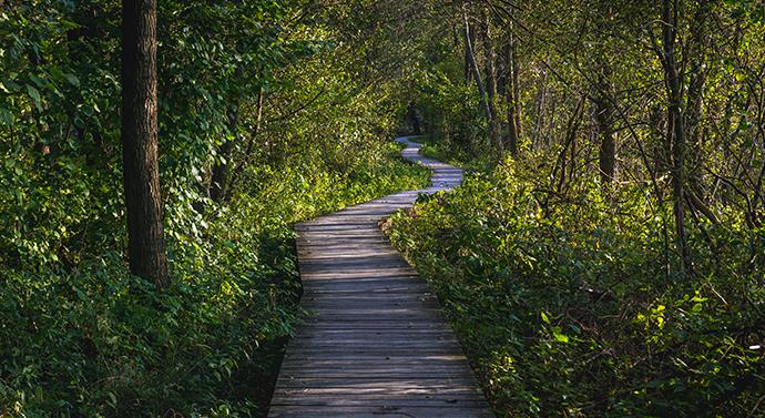 Najpiękniejsze parki narodowe - Kampinowski Park Narodowy 