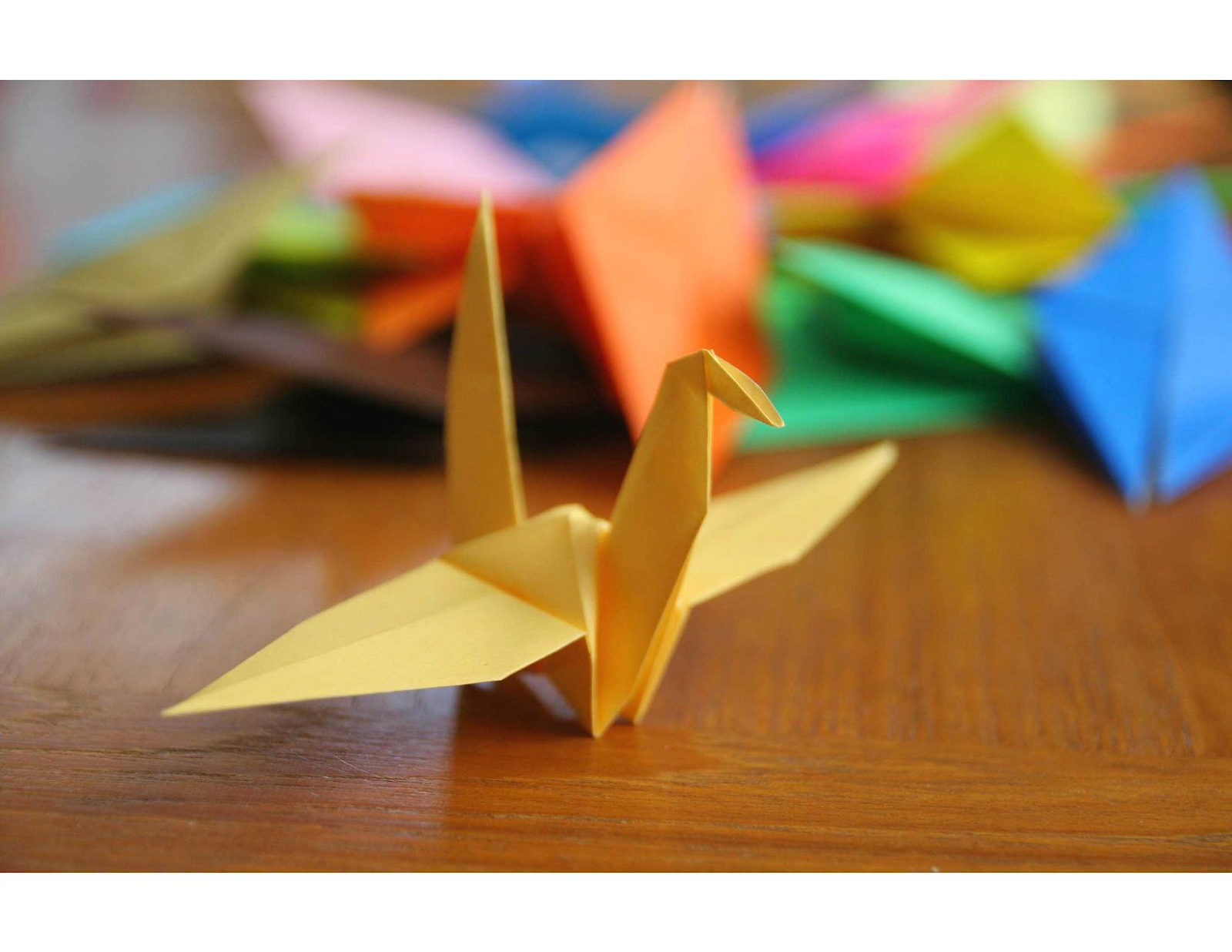 The Hidden Connection Between Mathematics and Origami