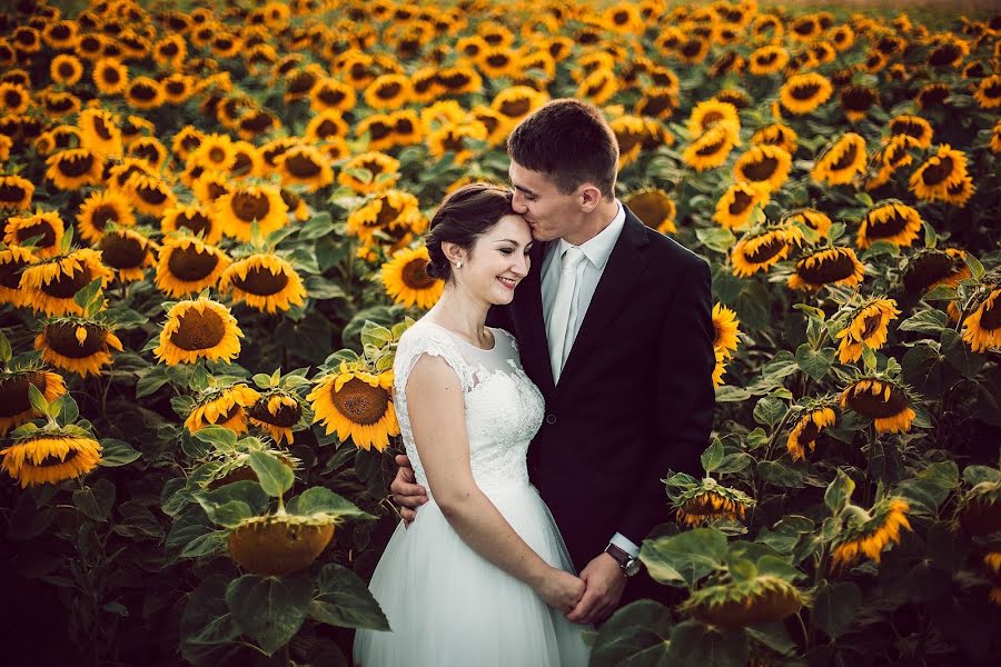 Fotógrafo de bodas Anna Tomasik (annatomasik). Foto del 24 de febrero 2020