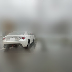 86 ZN6