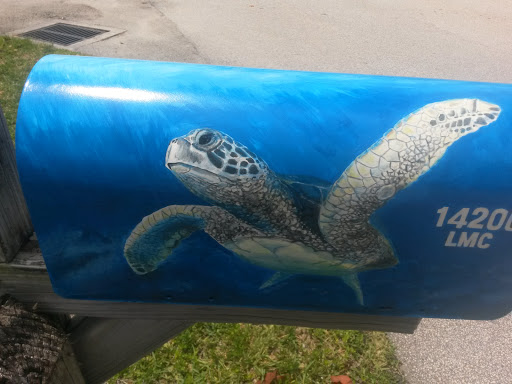 Sea Turtle Painting