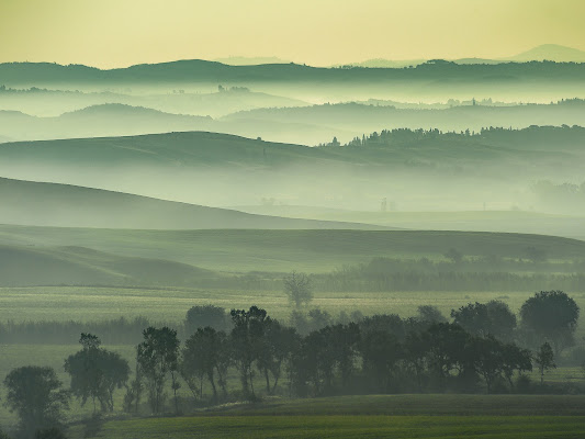 Val d'Arbia di gabrielecollini