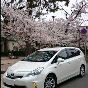 ノア ZWR80W