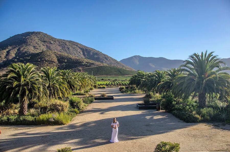 Fotógrafo de bodas Rodrigo Vergara (rodrigovergara). Foto del 29 de febrero 2020