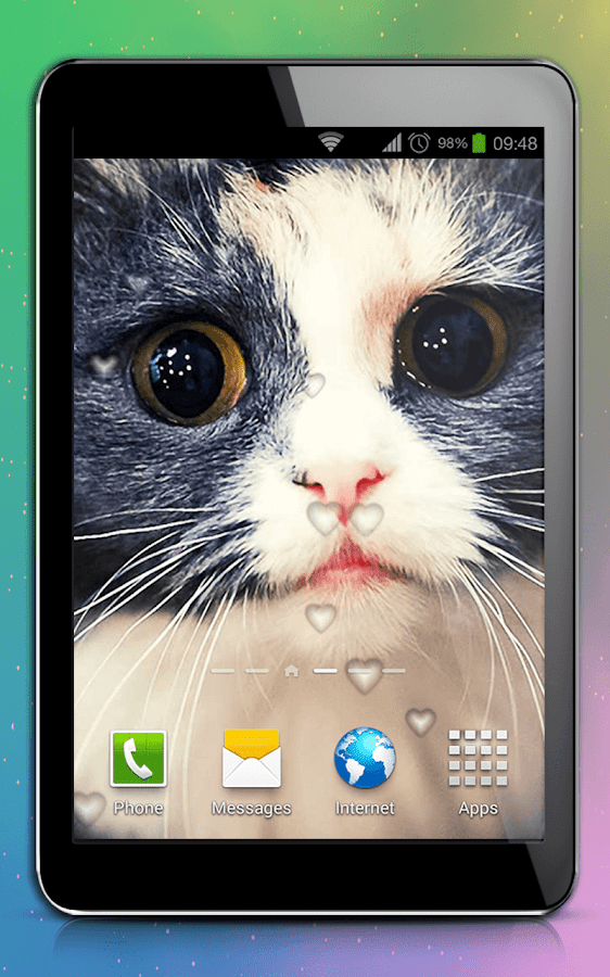  Cute  Cats  Live  Wallpaper  Android Apps on Google Play