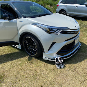 C-HR ZYX10