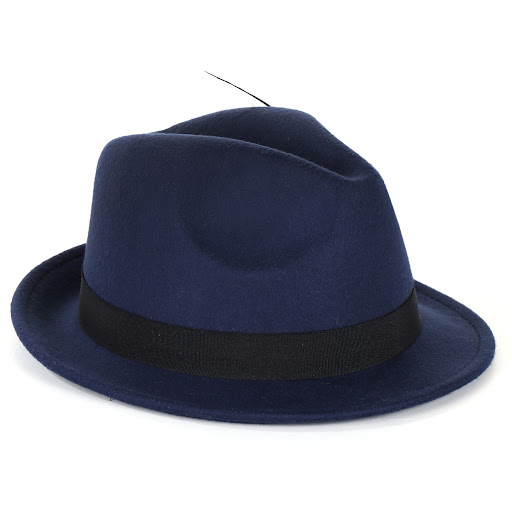 Title 2, Fashion Mens And Womens Woolen Feather Hat