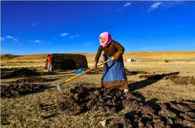 Tibetanci prelaze na moderno grejanje: od balege jaka do solarnih panela