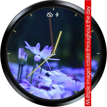 Botanical 1 Watch Face