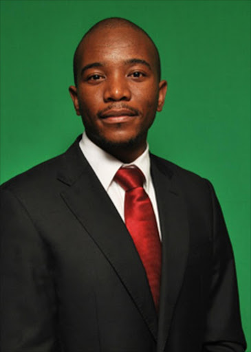 Mmusi Maimane, DA Joburg Caucus Leader