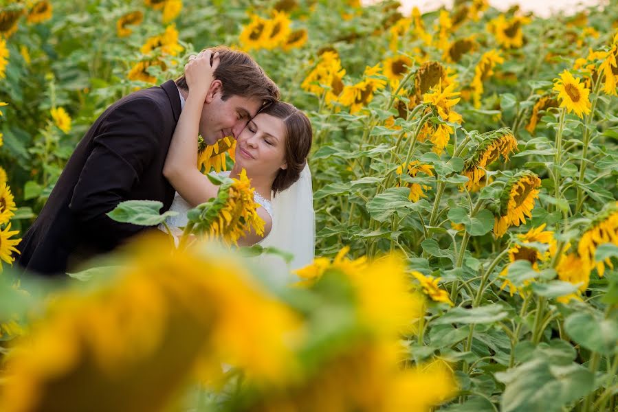 結婚式の写真家Teodora Bisog (teodorabisog)。2016 2月24日の写真