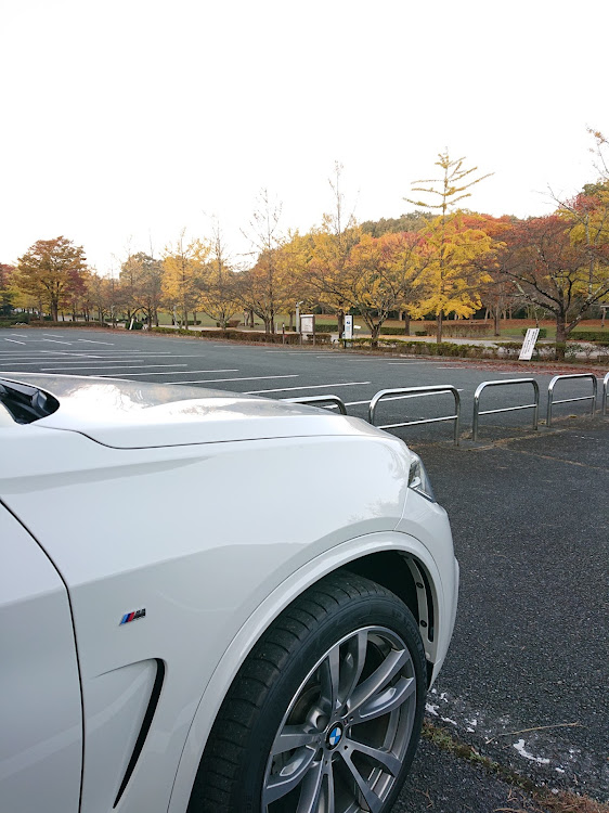 X5のBMW・アルピンホワイト・紅葉・雲海・秩父に関するカスタム事例の投稿画像5枚目
