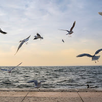 fotografare la natura di 