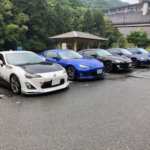 BRZ ZC6