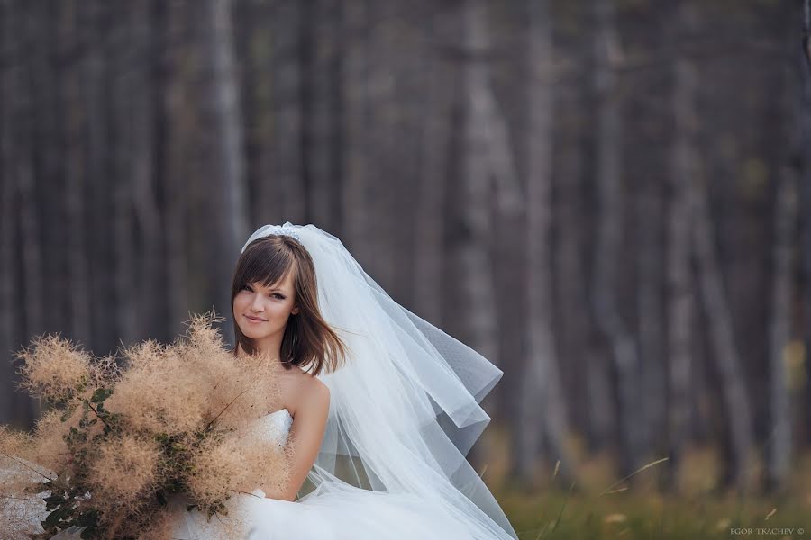 Fotógrafo de bodas Egor Tkachev (egortkachev). Foto del 29 de octubre 2015