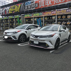 C-HR ZYX10