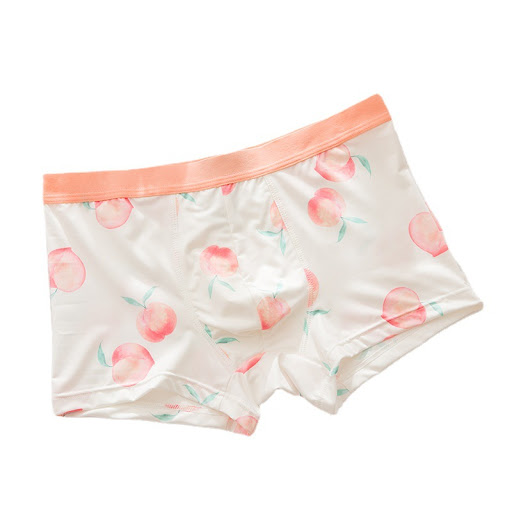 Title 9, Mens Fruit Printed Pattern Underwear Soft Boxe...