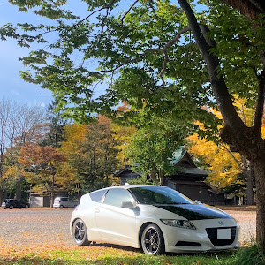 CR-Z ZF1