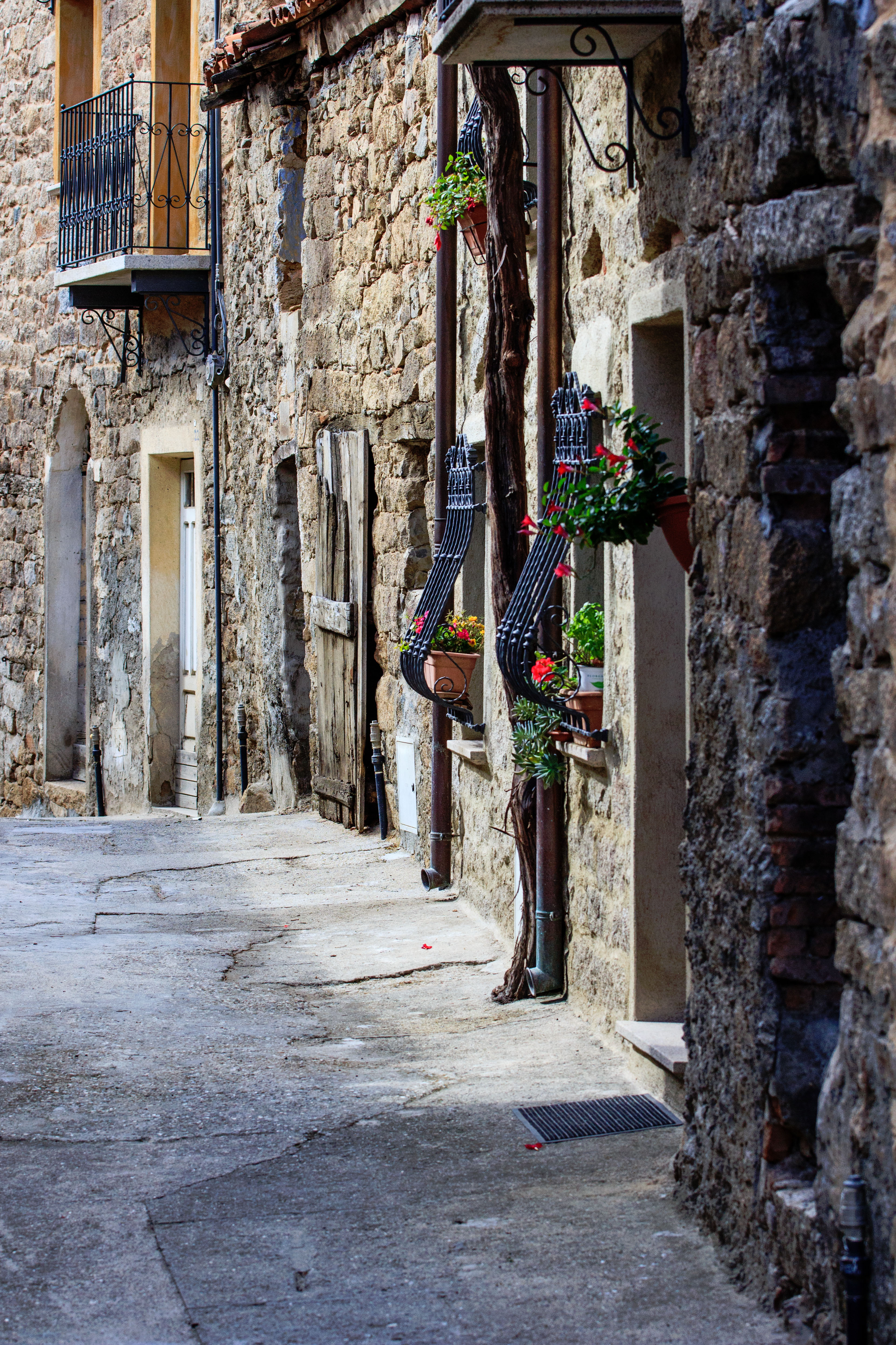 Borgo fiorito di Daniele Lai