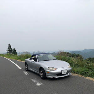 ロードスター NB6C