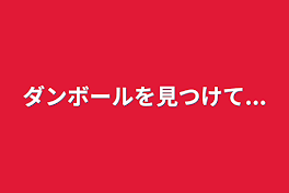 ダンボールを見つけて...