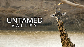 Untamed Valley thumbnail