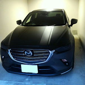 CX-3 DKEFW