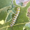 Caterpillar