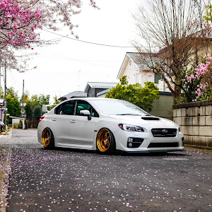 WRX STI VAB