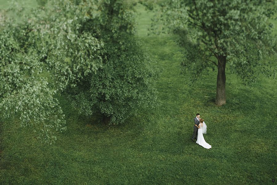 Düğün fotoğrafçısı Sergey Anischenko (anishenkosa). 20 Haziran 2017 fotoları
