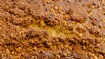Overnight Coffee Cake was pinched from <a href="http://allrecipes.com/recipe/7973/overnight-coffee-cake/" target="_blank">allrecipes.com.</a>