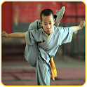 Learn kung fu at home