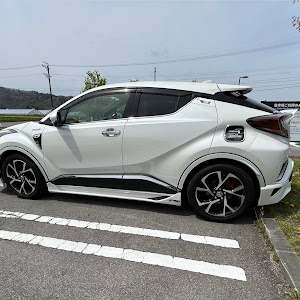 C-HR ZYX10