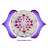 pranic frequencies pro icon