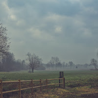 Campagna silente di 