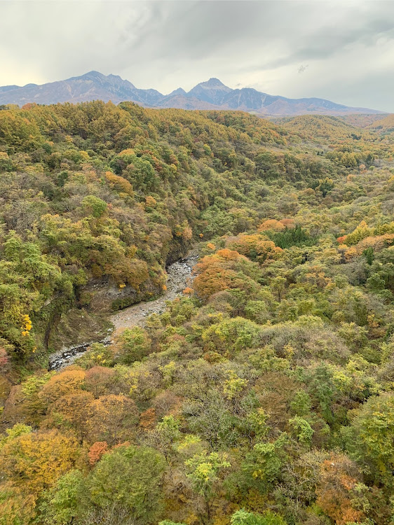 86の八ヶ岳高原ライン・道志道・清泉寮のソフトクリーム・山梨のほうとう・86STYLE楽しみですね☺️に関するカスタム事例の投稿画像8枚目