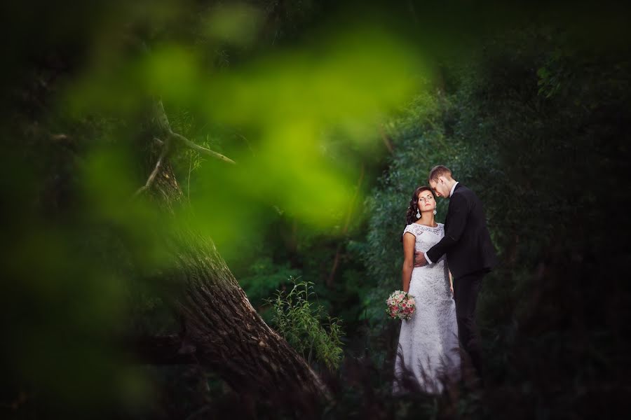 Wedding photographer Sergey Gapeenko (gapeenko). Photo of 3 May 2016