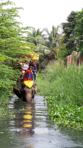 Elephant Ride Thailand 2016