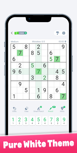 Screenshot Sudoku: themes & challenges