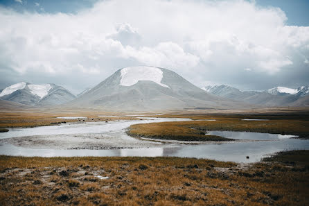 Svatební fotograf Valeriya Vartanova (vart). Fotografie z 16.ledna 2019