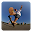 Street  Skateboard Freestyle Download on Windows