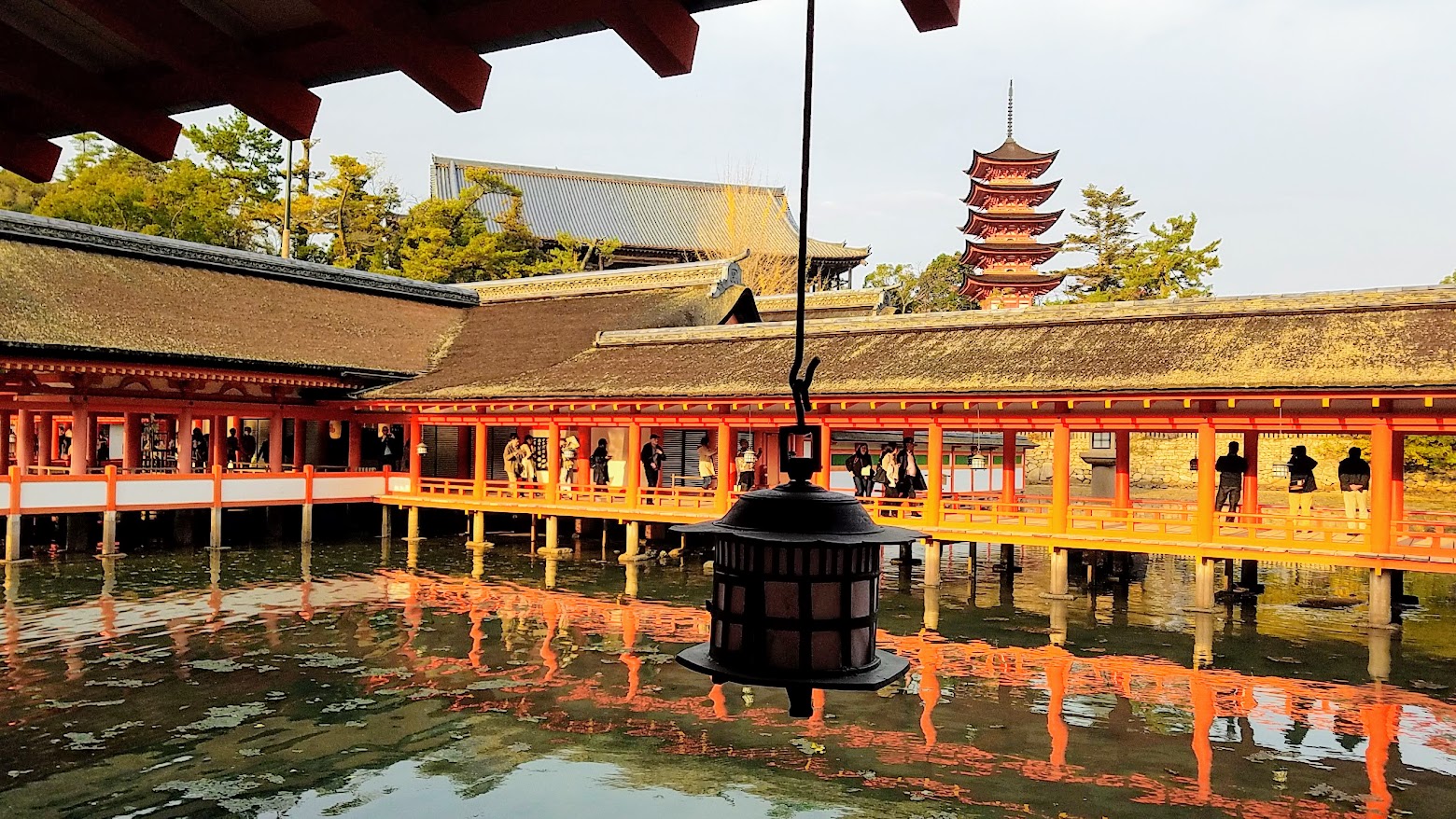 Hiroshima Day trip to Miyajima, the famous red Itsukushima Floating Torii Gate