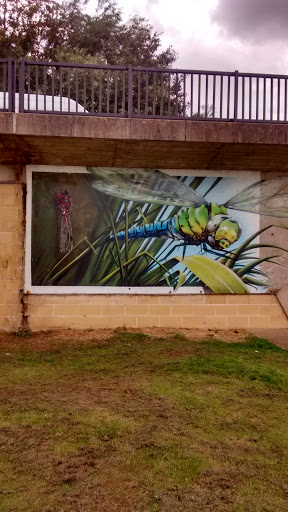 Dragonfly Mural