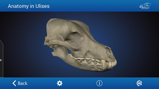 免費下載醫療APP|Osteology in Dogs app開箱文|APP開箱王