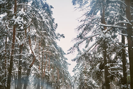 Fotograful de nuntă Darya Tanakina (svoboda). Fotografia din 21 februarie 2018