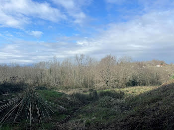 terrain à Saint-Pierre-d'Irube (64)